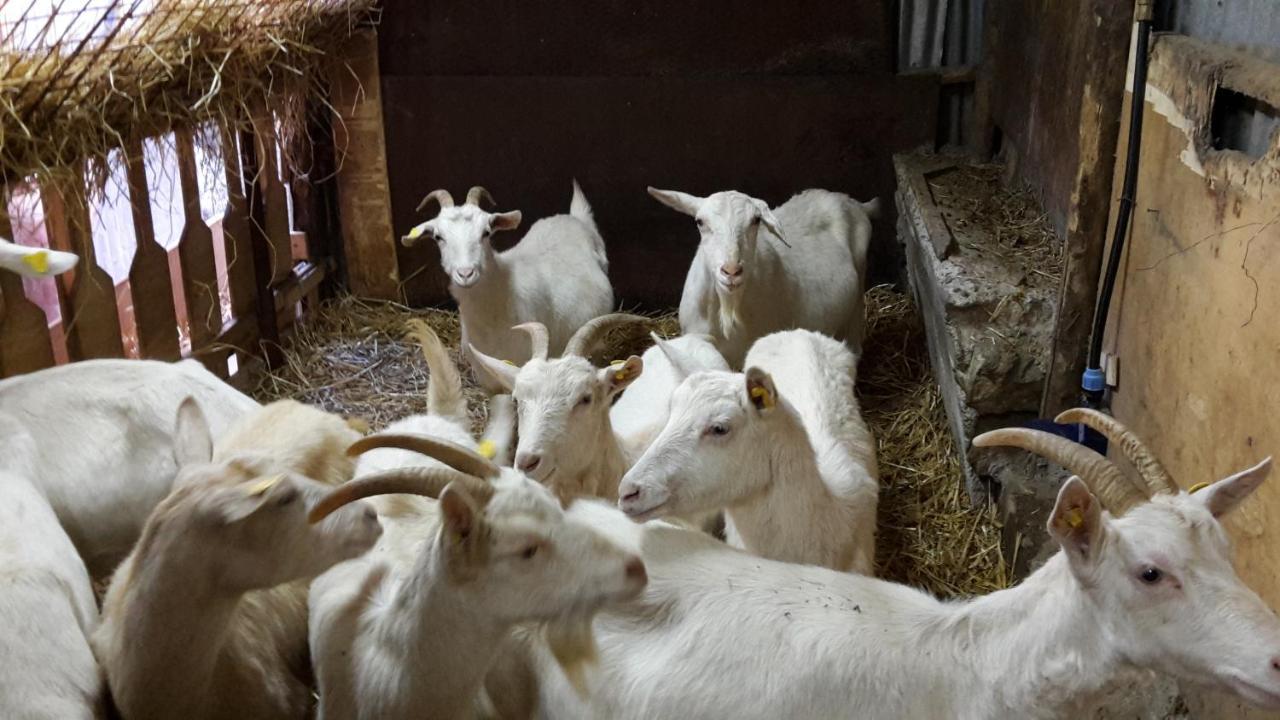 Cantina Del Casale Tramonti Bagian luar foto